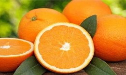 桔子皮肤爆料怎么做视频,揭秘视频制作背后的秘密